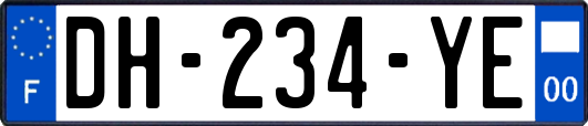 DH-234-YE