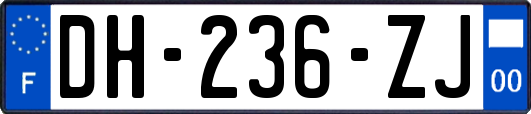 DH-236-ZJ