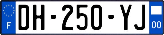 DH-250-YJ