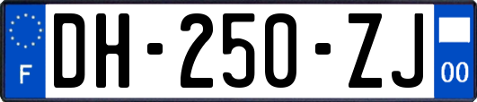 DH-250-ZJ