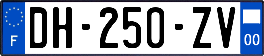 DH-250-ZV