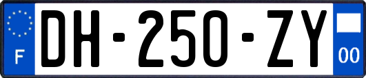 DH-250-ZY