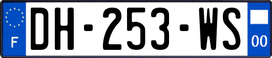 DH-253-WS