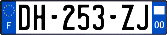 DH-253-ZJ