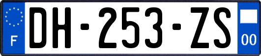 DH-253-ZS