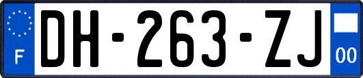 DH-263-ZJ