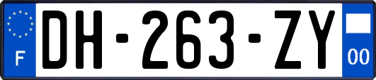 DH-263-ZY