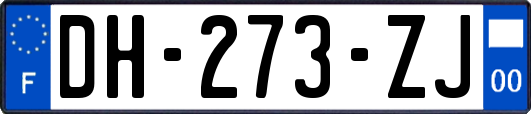 DH-273-ZJ