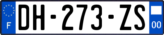 DH-273-ZS