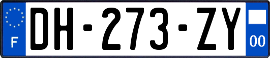 DH-273-ZY