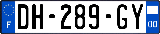 DH-289-GY