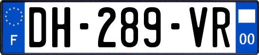 DH-289-VR