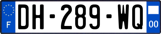 DH-289-WQ