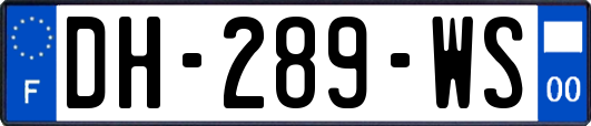 DH-289-WS