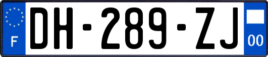 DH-289-ZJ