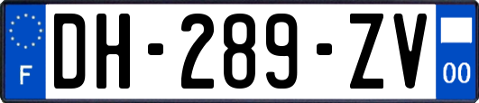 DH-289-ZV