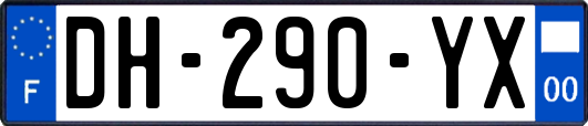 DH-290-YX