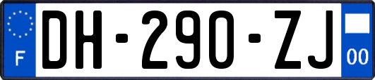 DH-290-ZJ