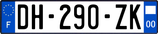 DH-290-ZK