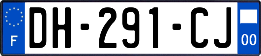 DH-291-CJ