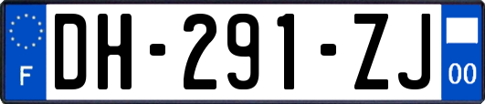 DH-291-ZJ