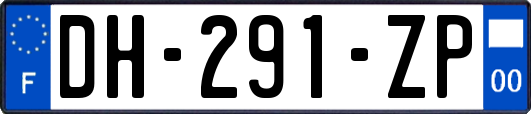 DH-291-ZP