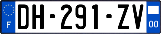 DH-291-ZV