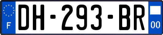 DH-293-BR