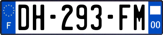 DH-293-FM