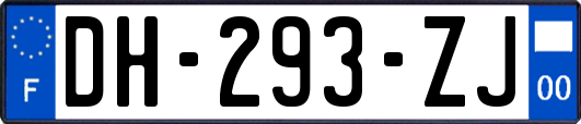 DH-293-ZJ