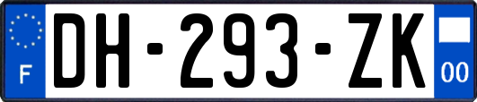 DH-293-ZK