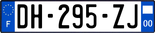 DH-295-ZJ