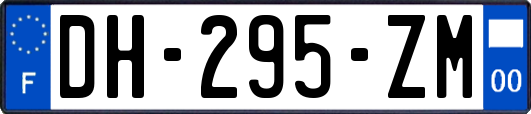 DH-295-ZM