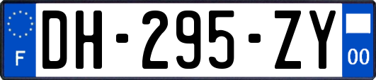 DH-295-ZY