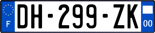 DH-299-ZK