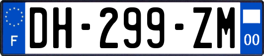 DH-299-ZM