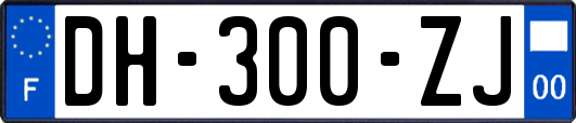 DH-300-ZJ