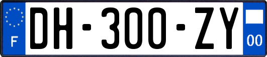 DH-300-ZY