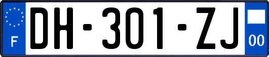 DH-301-ZJ