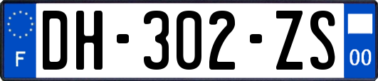 DH-302-ZS