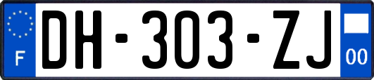 DH-303-ZJ