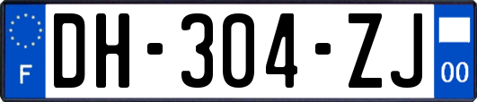 DH-304-ZJ