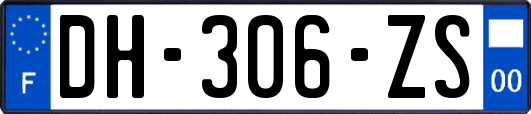 DH-306-ZS