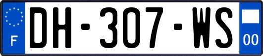 DH-307-WS