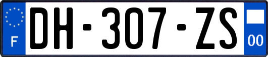 DH-307-ZS