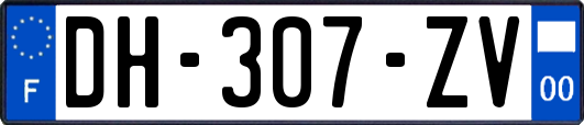 DH-307-ZV