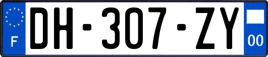 DH-307-ZY