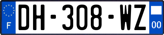 DH-308-WZ