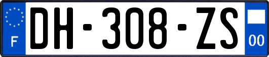 DH-308-ZS