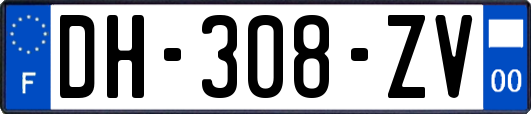 DH-308-ZV